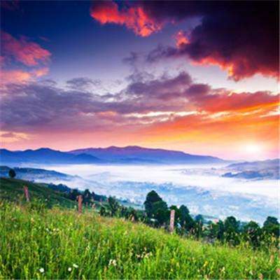小沃畅游tv版下载